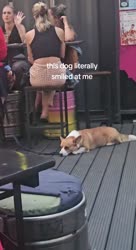 6491.MP4