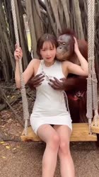 .mp4