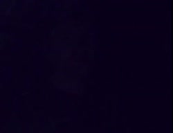 1.mp4