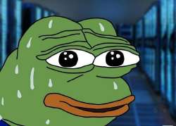 potniy-pepe-v-tehpodderzhke-kogda-polzovatel-skazal-chto-uzhe-proboval-vyklyuchit-i-vklyuchit.jpg