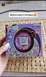 IMG1695.jpeg