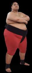 Yokozuna (1).webp