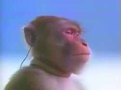15969158400373.webm