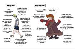 IMG6006.jpeg