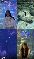 IMG6483.jpeg