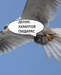 17532200548220.png
