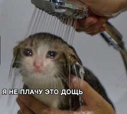 1753547398280.jpg