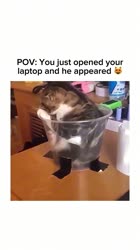 1690237333661.mp4
