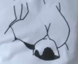 1654263065212.png