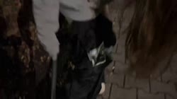 20250716AssiduousNeighborlyCheesecakeCclamChamp-E49KHL2uHy6dvUqgsource.mp4