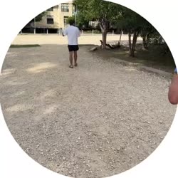 17505155276010.mp4