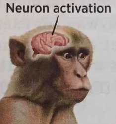 1753606059216.jpg