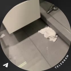 1738831253181.mp4