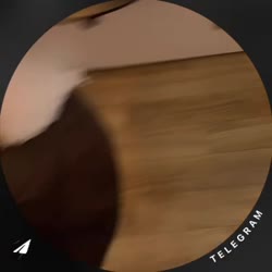 videoопп.mp4