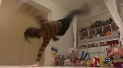 vkat.mp4