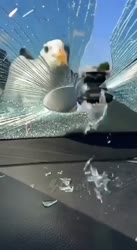 video2025-07-2713-44-48.mp4