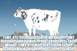 IMG20250727160422966.jpg