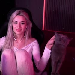 mrbcat.mp4