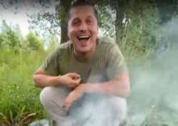43253.jpg