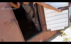 Door.mp4