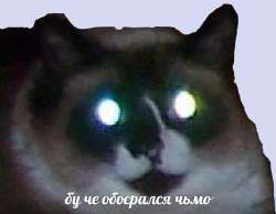 1753630228650.jpg