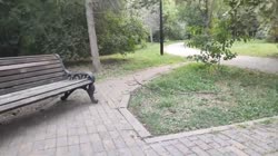 ВАНОМАСУ В ВОЛОСЫ ЗАЛЕЗЛА ОГРОМНАЯ ГУСЕНИЦА.mp4