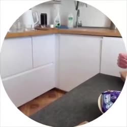17535290384160.mp4