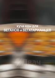 6.mp4