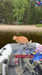 1753712896327.mp4
