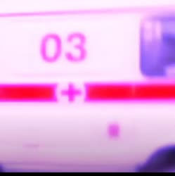 222221.mp4
