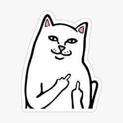 st,small,507x507-pad,600x600,f8f8f8.jpg