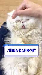 images.jpg