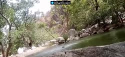 трое мужчин случайно засняли себя тонущими в пруду в Раджастане.mp4