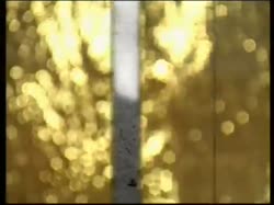 PLAZMA The Sweetest Surrender [get-save.com].mp4