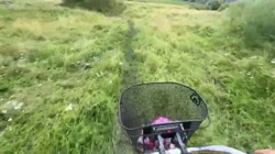 17538227634170.mp4