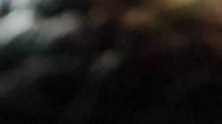 1112312323.mp4