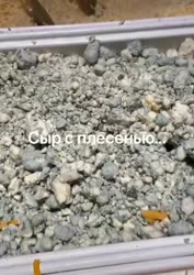 6.mp4