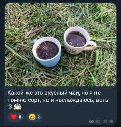 Screenshot20250730083001Telegram.jpg