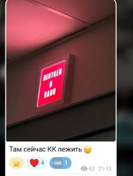 IMG3096.png