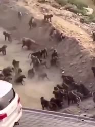 34346634.mp4