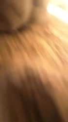 1691920980719.mp4