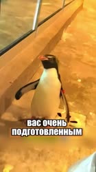 1753853475866.mp4