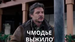 16771594239780.mp4
