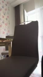 VID20250730115134549.mp4