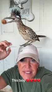 video2025-07-3014-23-25.mp4
