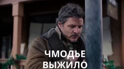 17538543870060.mp4