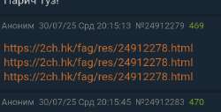 Screenshot2025-07-31-00-36-26-068.jpg