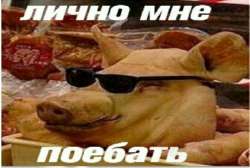 26df9aff0f71454de87142bd4340f766.jpg
