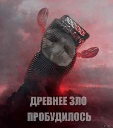 1243124.png