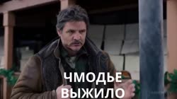 17538543870060.mp4